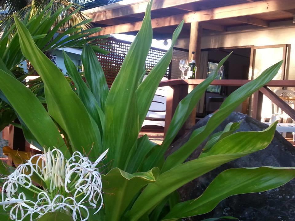 Hotel Sunset Palms Rarotonga Esterno foto